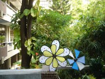 DSC00629.JPG