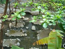 DSC00630.JPG