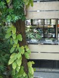 DSC00631.JPG